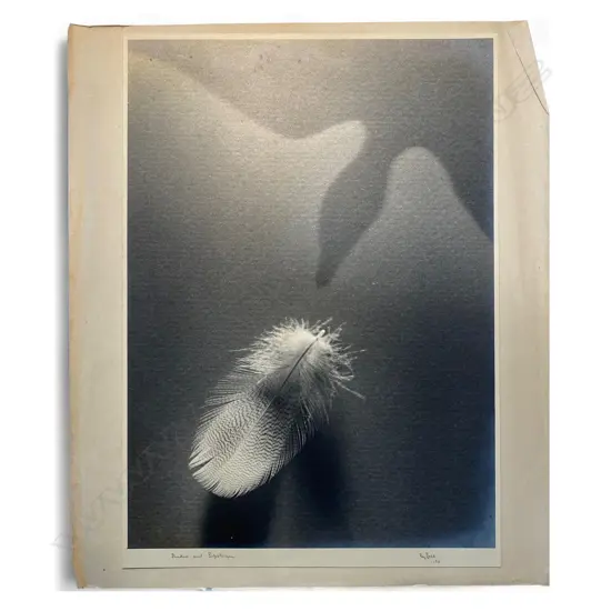 Reg P Bell 'Shadow and Substance',